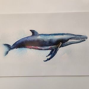 Watercolor Blue Whale 17x11 Art Print